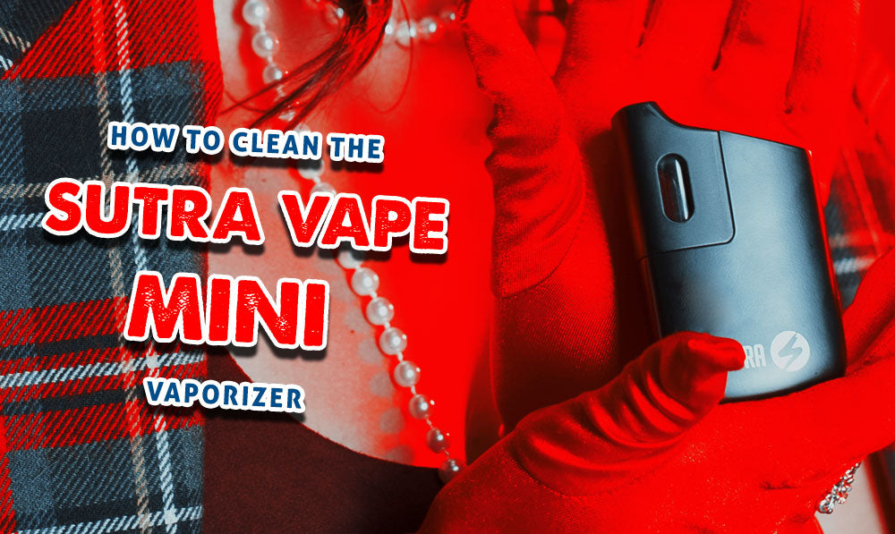 How To Clean The Sutra Vape Mini Vaporizer